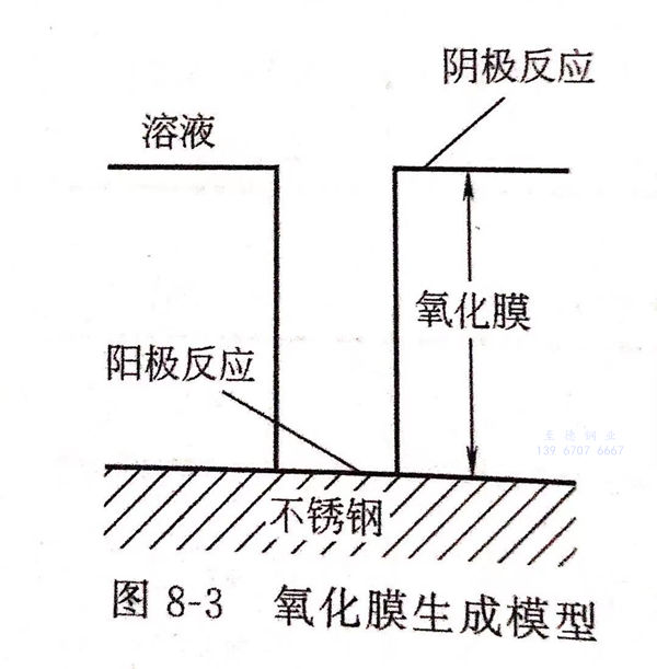 圖 3.jpg